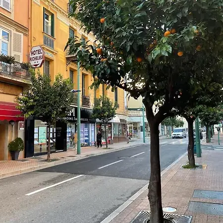 Palm - Palace&plages - Centre Apartamento Menton