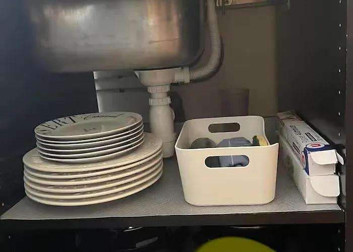 Palm - Palace Centre