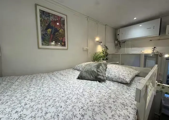 Palm - Palace Centre