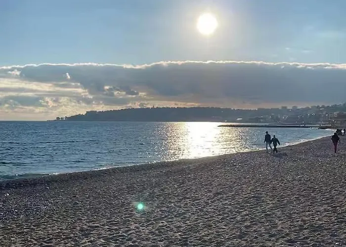 Palm - Palace Centre *