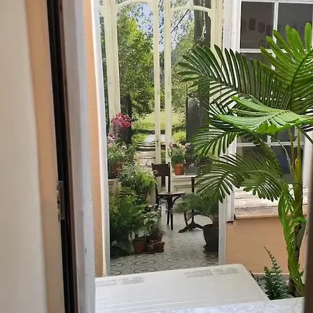 Διαμέρισμα Palm - Palace Centre Μεντόν