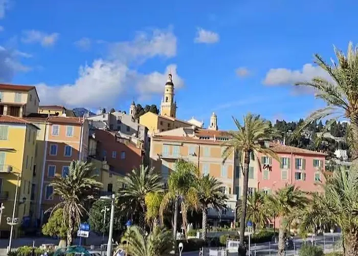 Palm - Palace Centre