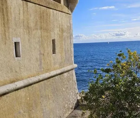 Palm - Palace Centre * Menton