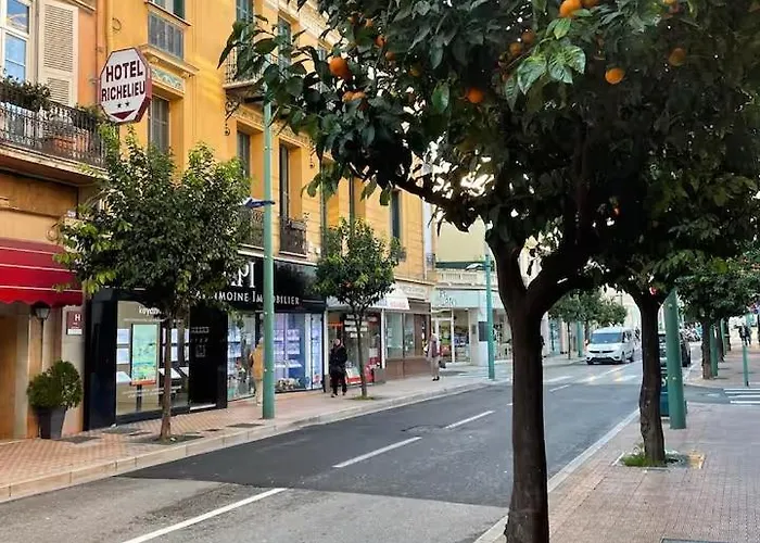 Palm - Palace Centre Διαμέρισμα Μεντόν