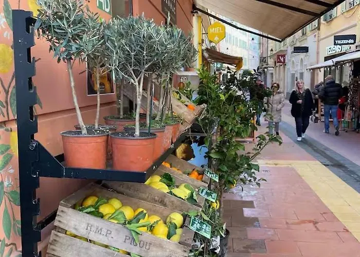 Palm - Palace Centre Appartement *